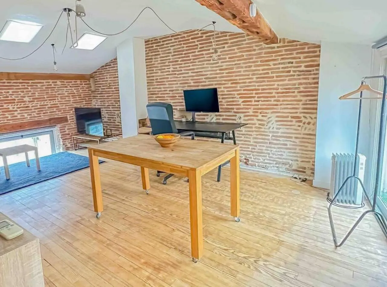 Cosy Loft Spacieux - Appartement Toulouse Centre. France